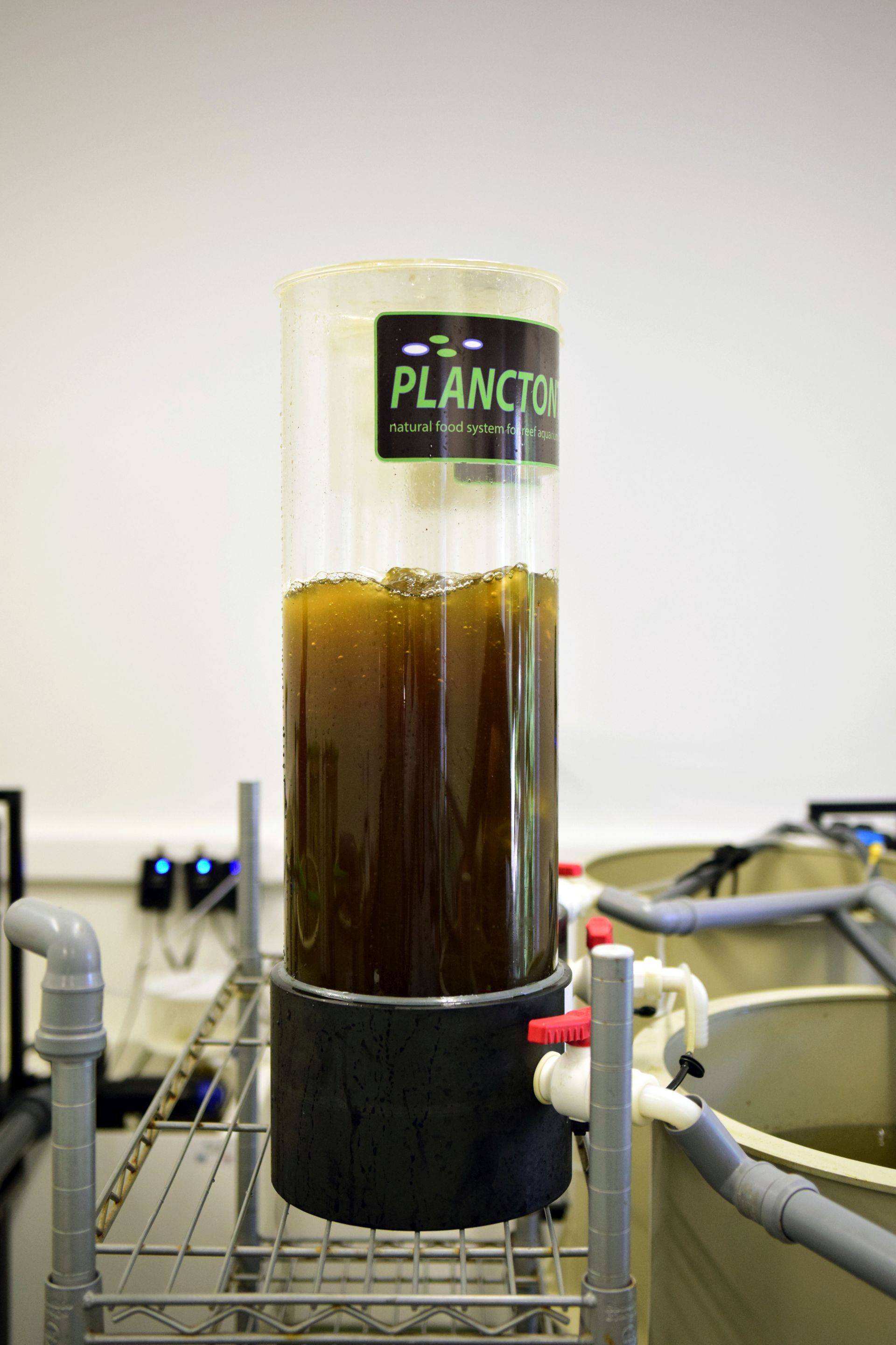 Strani studenti na združenom studiju Biotehnologija mora Strani studenti na združenom studiju Biotehnologija mora