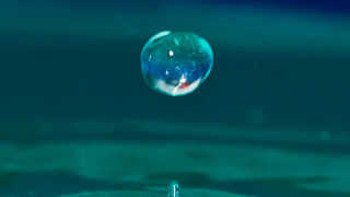 Čudesne kapi, foto: Leo Banić