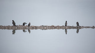Čarobno jutro na Vranskom jezeru Čarobno jutro na Vranskom jezeru