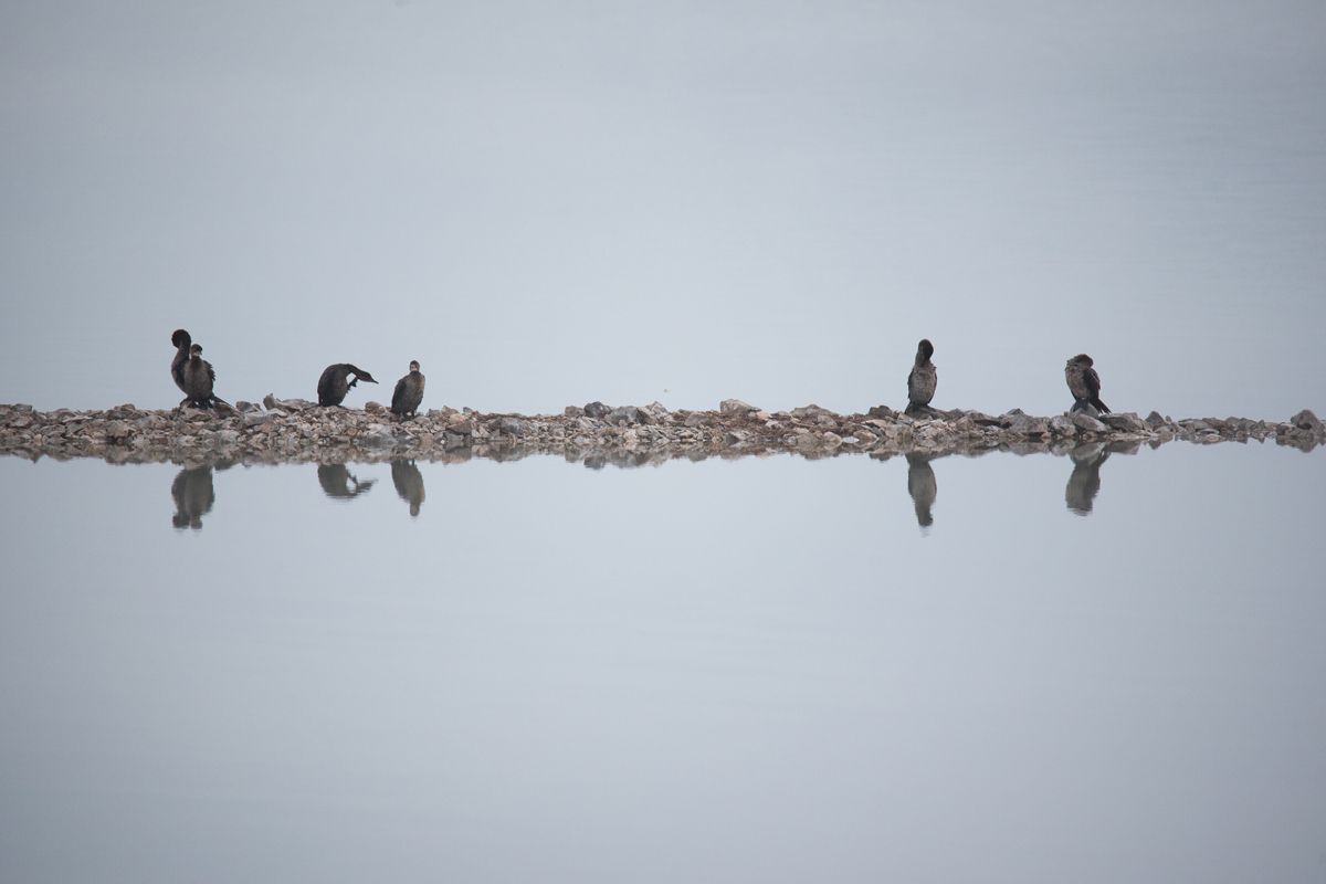 Čarobno jutro na Vranskom jezeru Čarobno jutro na Vranskom jezeru