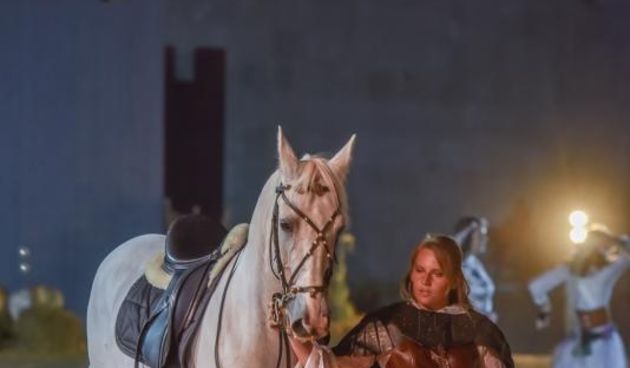 11. Dani vitezova vranskih @ Maškovića han