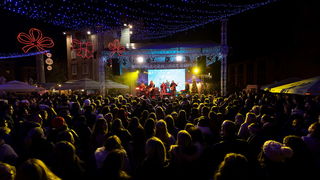 Željko Bebek @ Advent u Zadru