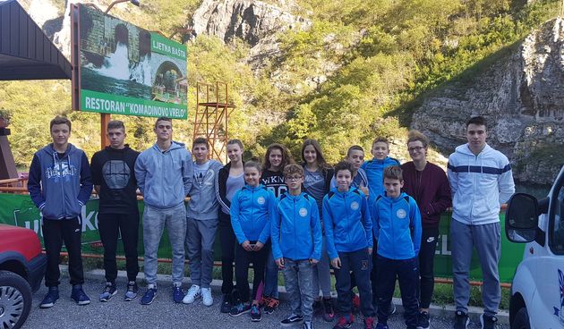 2017, plivačko natjecanje