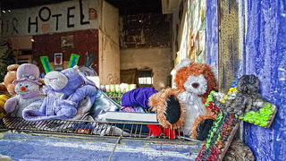 Kako zive beskucnici