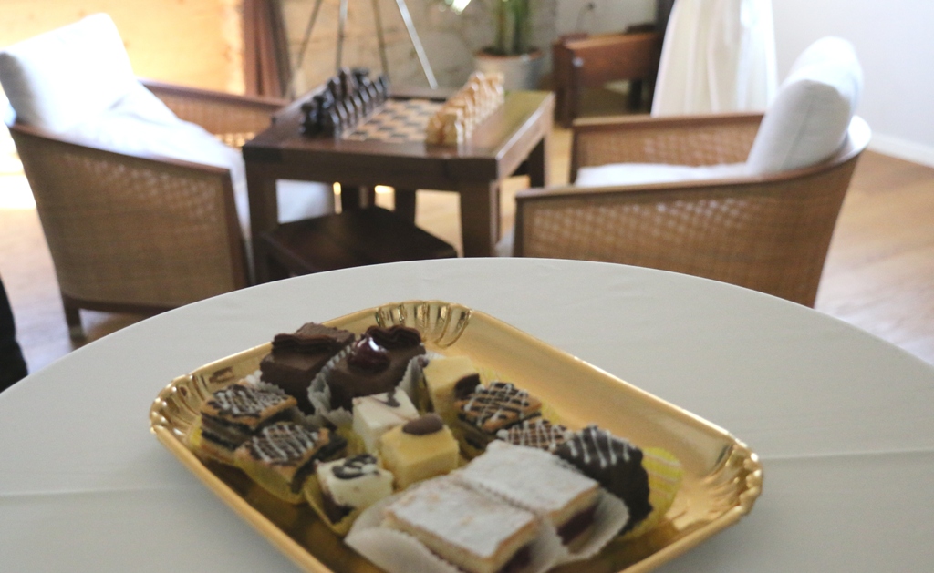 Delegacija Južnomoravske regije u posjeti otoku Viru Delegacija Južnomoravske regije u posjeti otoku Viru