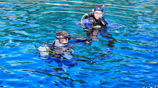 Đir s roniocima po Zadarskom arhipelagu, Foto: Roberto Lerga Đir s roniocima po Zadarskom arhipelagu, Foto: Roberto Lerga
