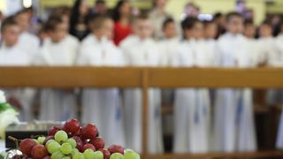 Bibinje: Sakrament Svete potvrde u župnoj crkvi Bibinje: Sakrament Svete potvrde u župnoj crkvi