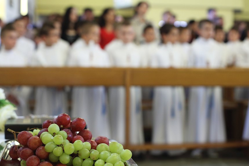 Bibinje: Sakrament Svete potvrde u župnoj crkvi Bibinje: Sakrament Svete potvrde u župnoj crkvi