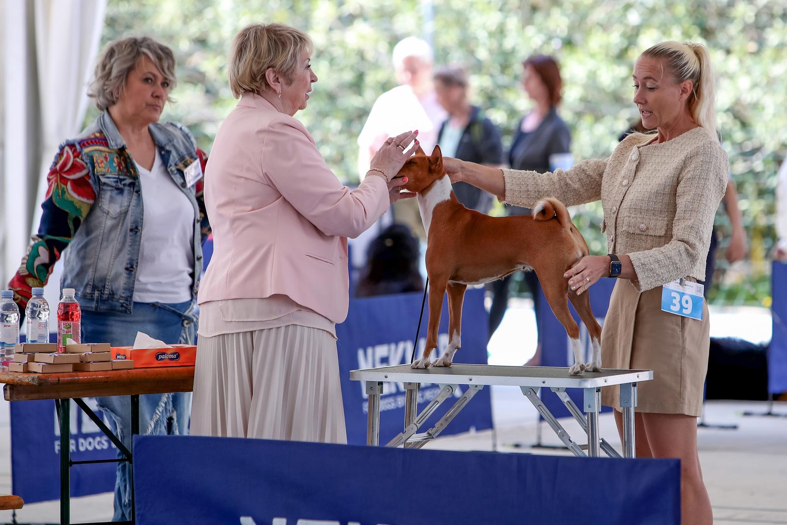 Međunarodna izložba pasa CACIB 2023