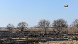 Požar u ornitološkom rezervatu Parka prirodeP Vransko jezero Požar u ornitološkom rezervatu Parka prirodeP Vransko jezero