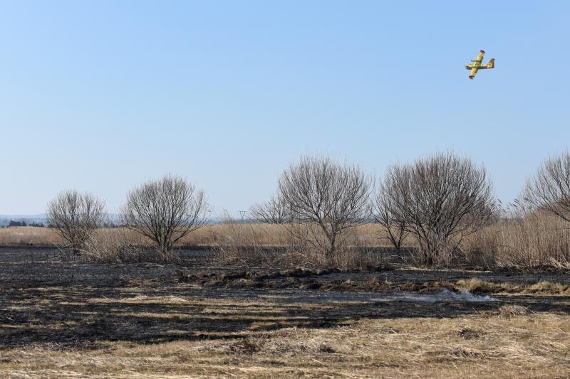 Požar u ornitološkom rezervatu Parka prirodeP Vransko jezero Požar u ornitološkom rezervatu Parka prirodeP Vransko jezero
