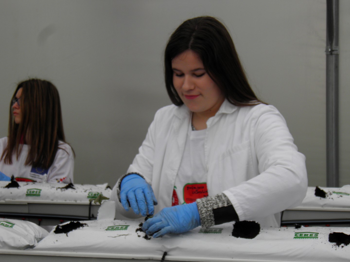 OLYMPUS DIGITAL CAMERA OLYMPUS DIGITAL CAMERA