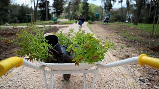 U Vruljici uređen Kišni vrt U Vruljici uređen Kišni vrt