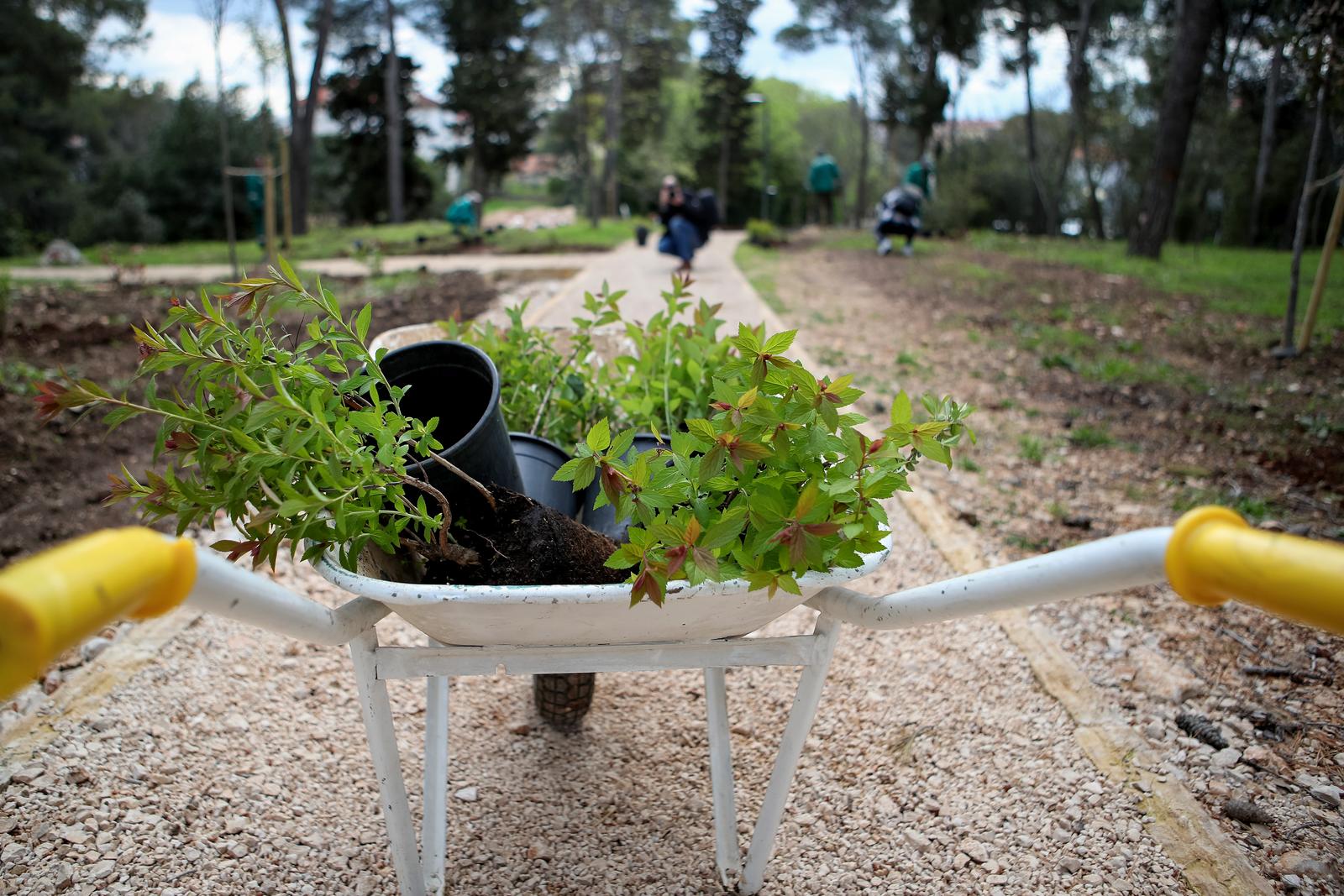 U Vruljici uređen Kišni vrt U Vruljici uređen Kišni vrt