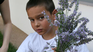 GKZD: Dječja radionica izrade stručaka i jastučića od lavande, Foto: Lucija Juravić