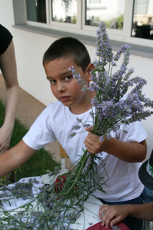 GKZD: Dječja radionica izrade stručaka i jastučića od lavande, Foto: Lucija Juravić