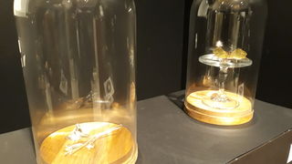 Iz profesorskih atelja – izložba nastavnika ŠPUD-a Iz profesorskih atelja – izložba nastavnika ŠPUD-a