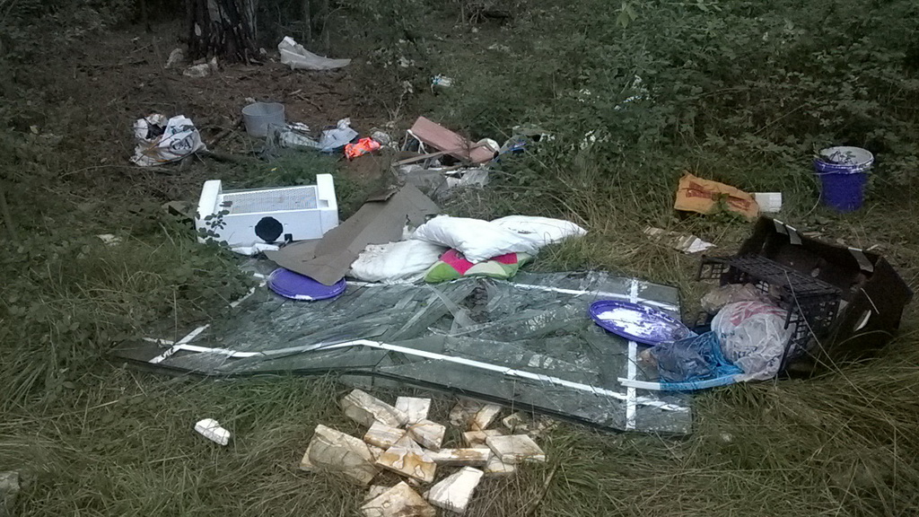 Park šuma Musapstan zagađena raznim otpadom Park šuma Musapstan zagađena raznim otpadom