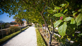 Đir zadarskim parkovima,27. veljače 2012. (foto:Saša Čuka)