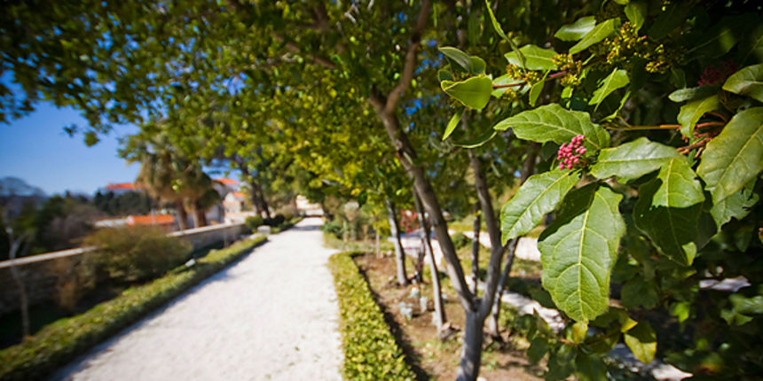 Đir zadarskim parkovima,27. veljače 2012. (foto:Saša Čuka) Đir zadarskim parkovima,27. veljače 2012. (foto:Saša Čuka)