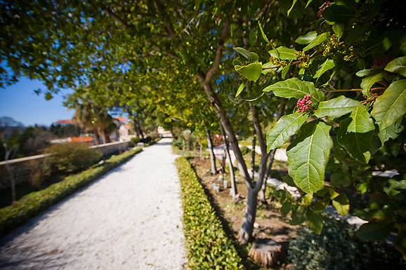 Đir zadarskim parkovima,27. veljače 2012. (foto:Saša Čuka)