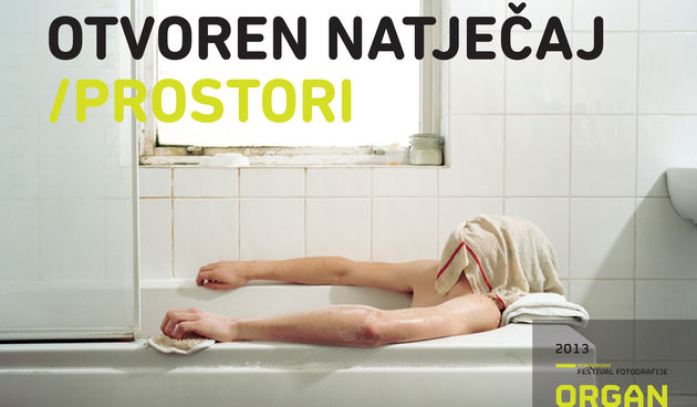 Otvoren natječaj 5. Međunarodnog festivala fotografije Organ Vida