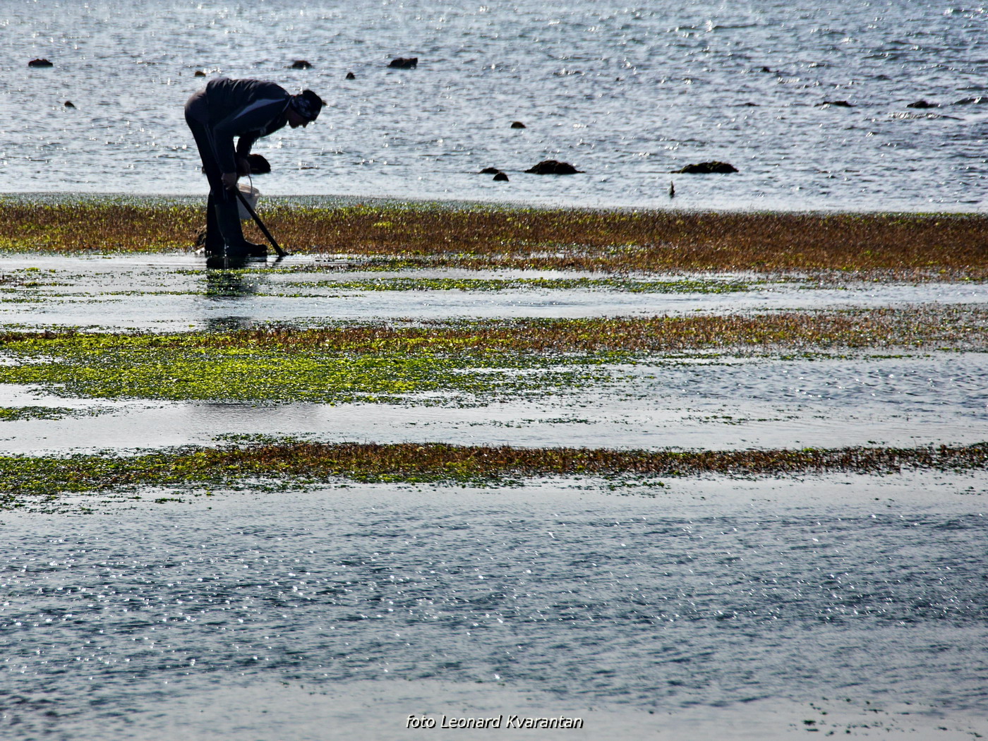 Zimska oseka u Sukošanu