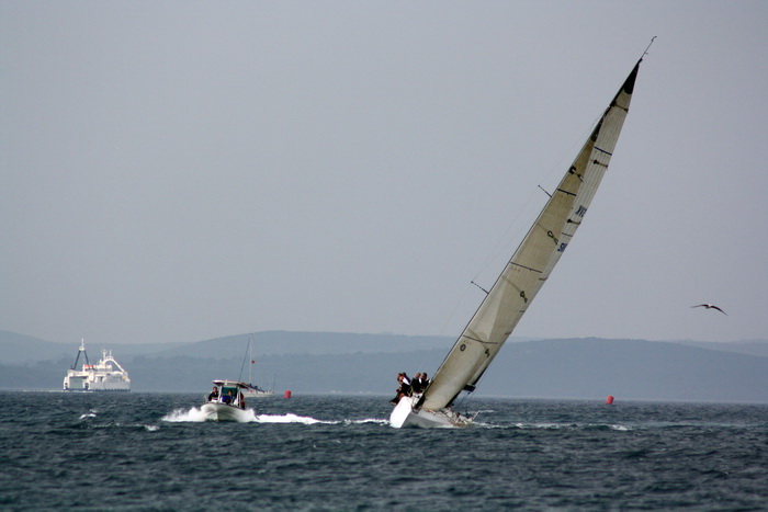 ORC kup Hrvatske: Zadarki kup 2010., Foto. Mladen Malik