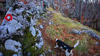 Uspon na Bojin Kuk i pogled na Italiju, Foto: Leo Banić Uspon na Bojin Kuk i pogled na Italiju, Foto: Leo Banić