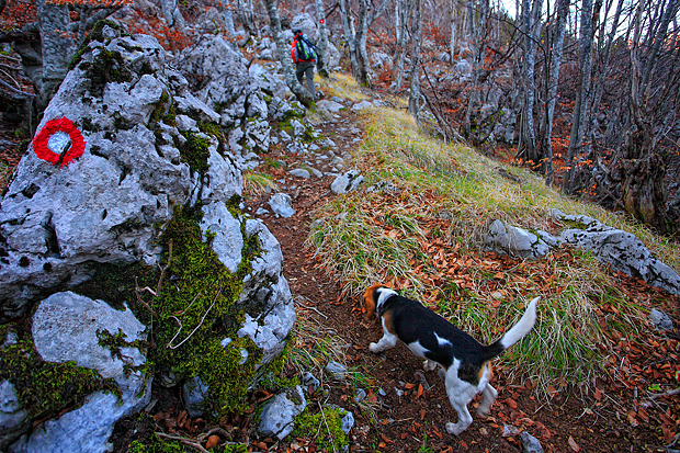 Uspon na Bojin Kuk i pogled na Italiju, Foto: Leo Banić Uspon na Bojin Kuk i pogled na Italiju, Foto: Leo Banić