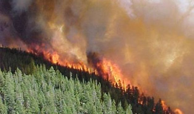 Image 1177095 (auto)