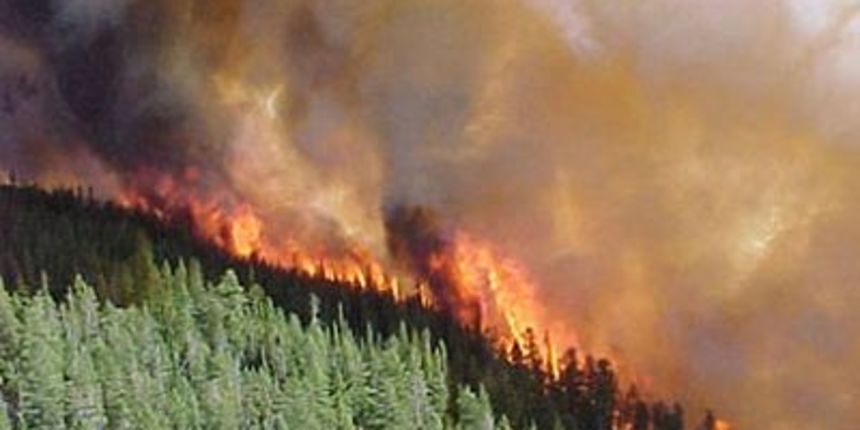 Image 1177095 (auto) Image 1177095 (auto)