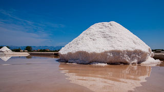 Solana Nin, berba soli, foto: Leo Banić