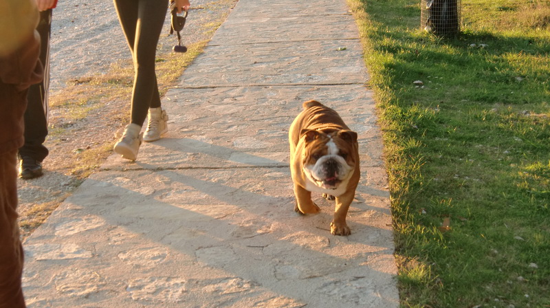 Bonaca na Punta Skali Bonaca na Punta Skali