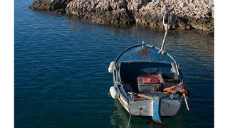 Image 1194617 (auto)