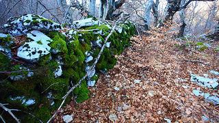 Uspon na Bojin Kuk i pogled na Italiju, Foto: Leo Banić Uspon na Bojin Kuk i pogled na Italiju, Foto: Leo Banić