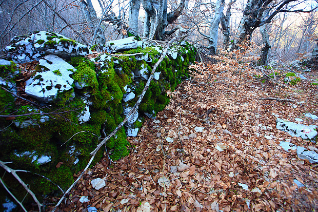Uspon na Bojin Kuk i pogled na Italiju, Foto: Leo Banić Uspon na Bojin Kuk i pogled na Italiju, Foto: Leo Banić
