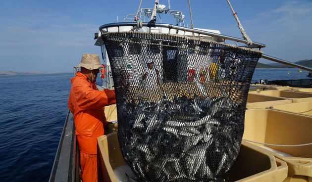 Cromaris, ribolov, ribarstvo