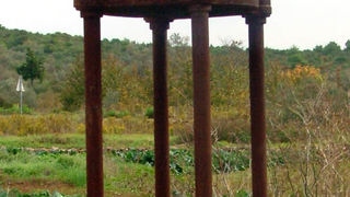 Image 1190441 (auto)