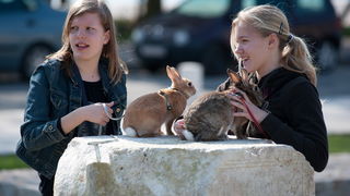 Zadar, 020412
Ove tri djevojcice setaju se gradom vodeci na uzicama svoje nesvakidasnje kucne ljubimce – zecice Bubicu,Vini i Pjegicu.
Na fotografiji: djevojcice sa zecevima na Forumu.
Foto: Luka Gerlanc / CROPIX