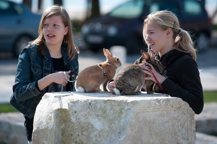 Zadar, 020412
Ove tri djevojcice setaju se gradom vodeci na uzicama svoje nesvakidasnje kucne ljubimce – zecice Bubicu,Vini i Pjegicu.
Na fotografiji: djevojcice sa zecevima na Forumu.
Foto: Luka Gerlanc / CROPIX