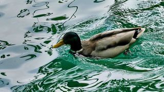 NP Plitvička jezera, listopad 2021.