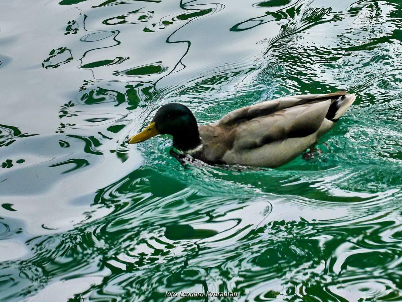 NP Plitvička jezera, listopad 2021.