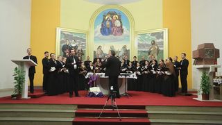 (V)Ladari i (V)Ladarice folklorne scene u Hrvatskoj još jednom oduševili Bibinjce. Foto: Leo Banić