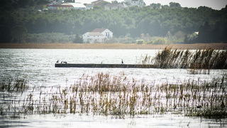 Nedjeljni đir do Parka prirode Vransko jezero i vidikovca Kamenjak, foto: Iva Perinčić Nedjeljni đir do Parka prirode Vransko jezero i vidikovca Kamenjak, foto: Iva Perinčić