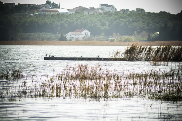 Nedjeljni đir do Parka prirode Vransko jezero i vidikovca Kamenjak, foto: Iva Perinčić Nedjeljni đir do Parka prirode Vransko jezero i vidikovca Kamenjak, foto: Iva Perinčić