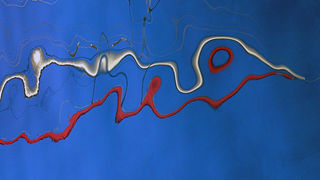 Otvorenje izložbe “Otočni fotografi” u prostorijama udruge za razvitak hrvatskih otoka Otvorenje izložbe “Otočni fotografi” u prostorijama udruge za razvitak hrvatskih otoka