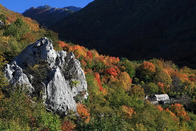 Paklenica: Boje jeseni, Foto: Mladen Radolovic Mrlja
