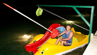 Biograd na Moru: 3. Morska alga, Foto: Franjo Jurić