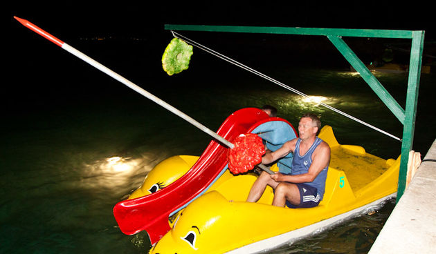 Biograd na Moru: 3. Morska alga, Foto: Franjo Jurić